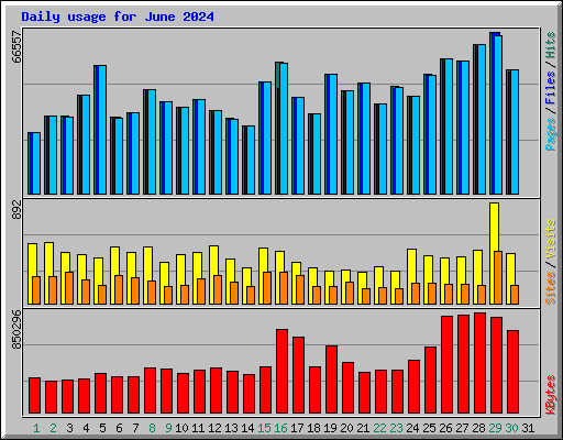 Daily usage for June 2024