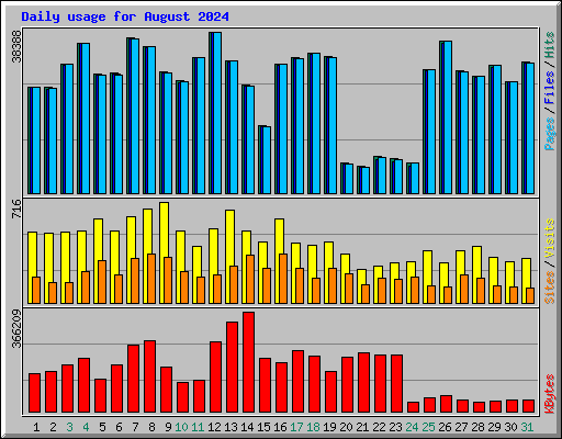 Daily usage for August 2024
