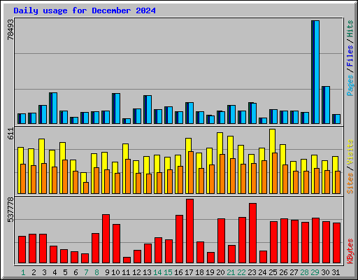 Daily usage for December 2024
