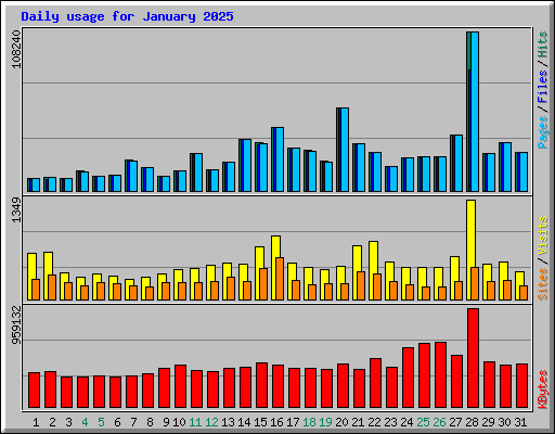 Daily usage for January 2025