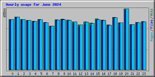 Hourly usage for June 2024