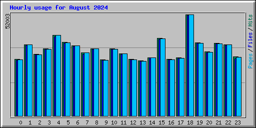 Hourly usage for August 2024