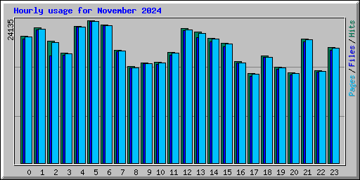 Hourly usage for November 2024