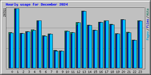 Hourly usage for December 2024