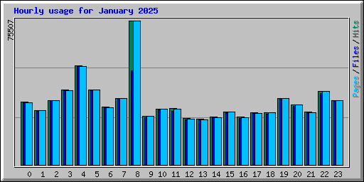 Hourly usage for January 2025