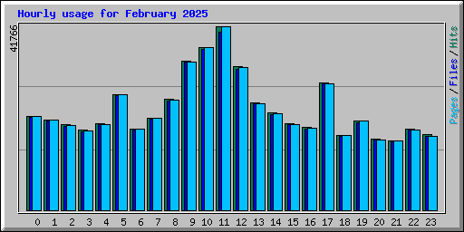 Hourly usage for February 2025