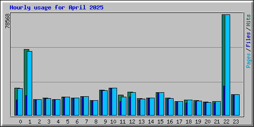 Hourly usage for April 2025