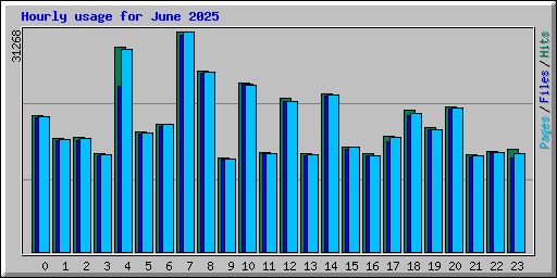 Hourly usage for June 2025