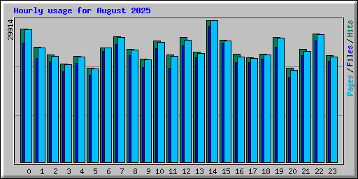 Hourly usage for August 2025
