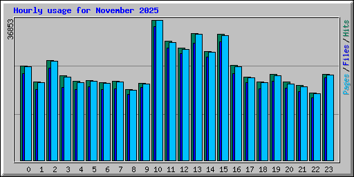 Hourly usage for November 2025