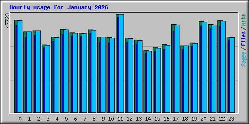 Hourly usage for January 2026