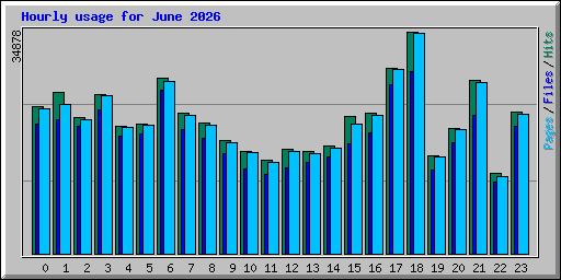 Hourly usage for June 2026