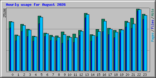 Hourly usage for August 2026